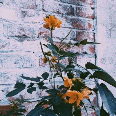 beat365体育ios版下载截图