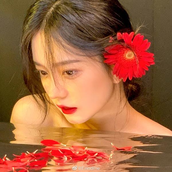 半岛官方APP入口app下载